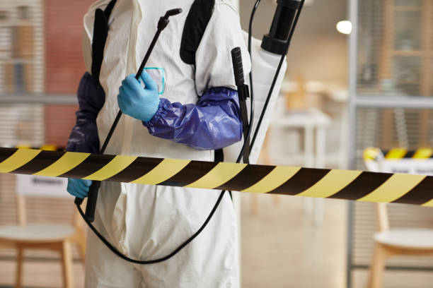 Professional Sewage Cleanup technician working in Meredith, NH